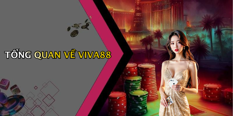 VIVA88: Giải Trí Số Uy Tín Và Đẳng Cấp