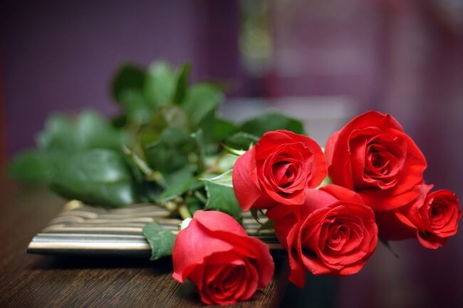 Hình ảnh hoa hồng tặng người yêu đẹp lãng mạn