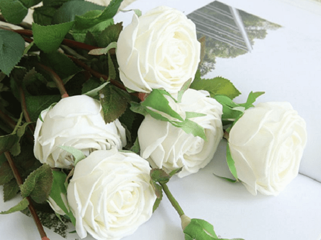 Hình ảnh hoa hồng tặng người yêu