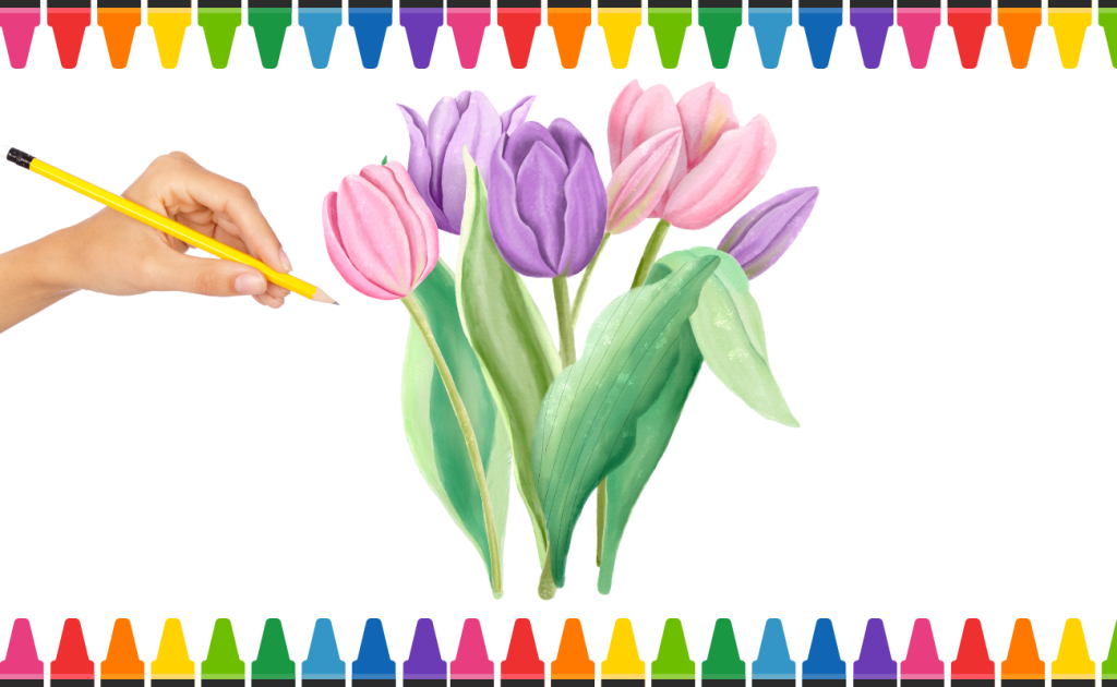 Giới thiệu một số cách vẽ hoa Tulip đơn giản mà đẹp