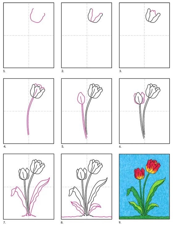 chi tiết cách vẽ hoa tulip