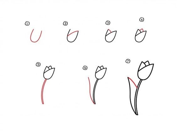 tổng hợp cách vẽ hoa tulip