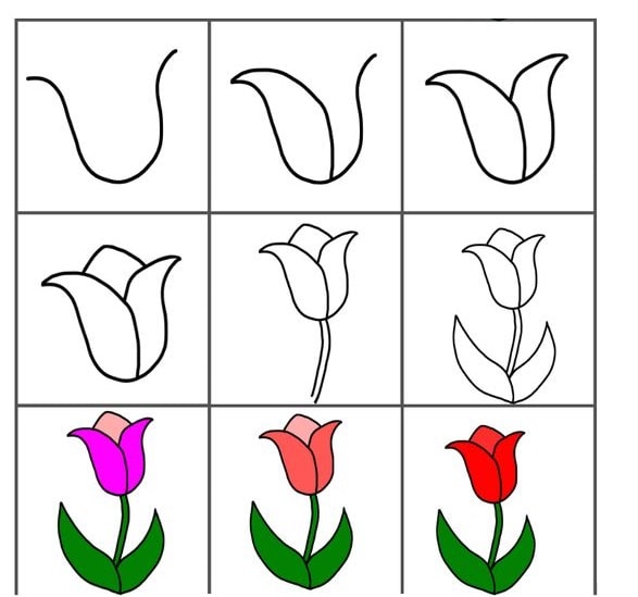 cách vẽ hoa tulip bằng bút chì