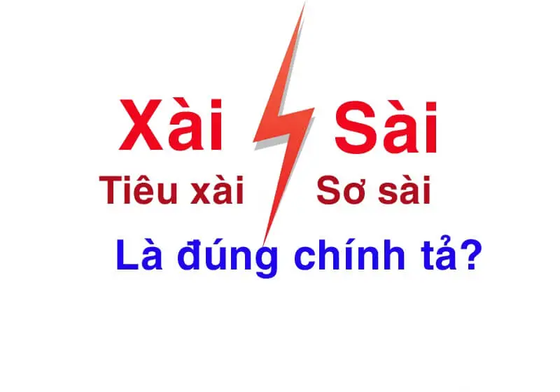 Một số ví dụ về cách sử dụng “xài” và “sài” đúng chính tả Tiếng Việt