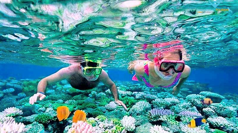Các món thường được du khách thưởng thức khi đến đảo Phú Quý