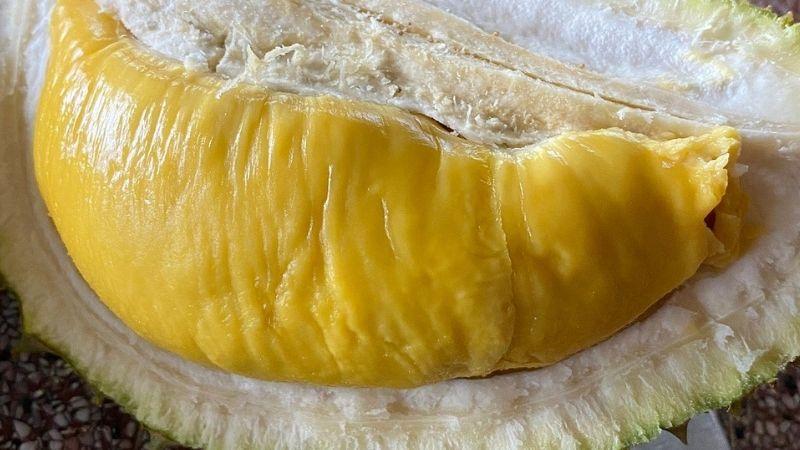 Cách chọn mua sầu riêng Musang King ngon