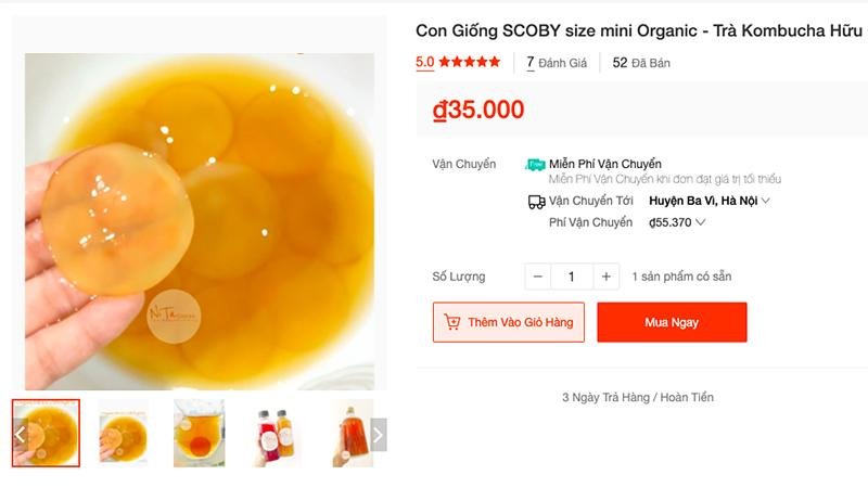 Cách để nhận biết con giống Scoby tốt và con giống Scoby hỏng