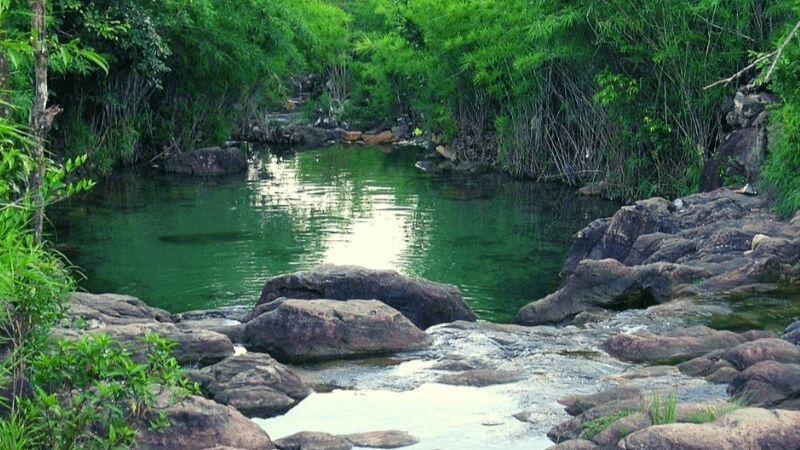 Câu cá thư giãn bên bờ Hồ Dầu Tiếng