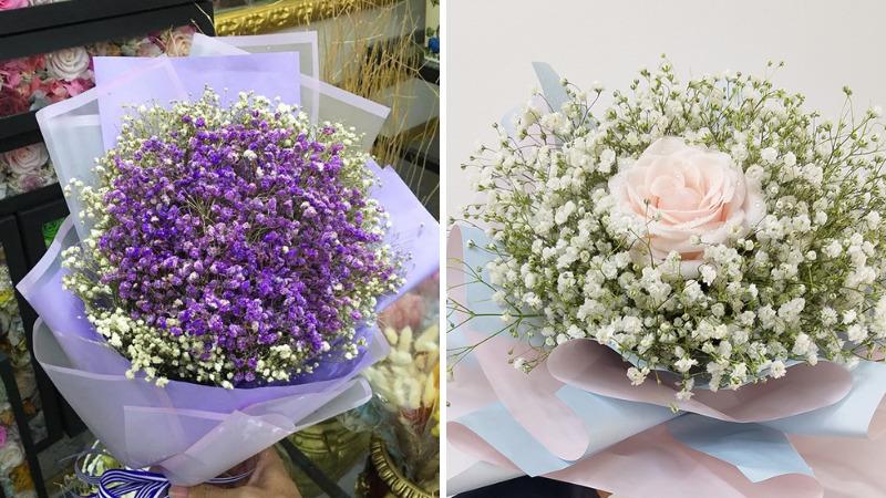 Chọn hạt giống phù hợp