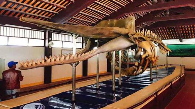 Cột cờ trên đảo Phú Quý là nơi check in không thể bỏ qua của du khách