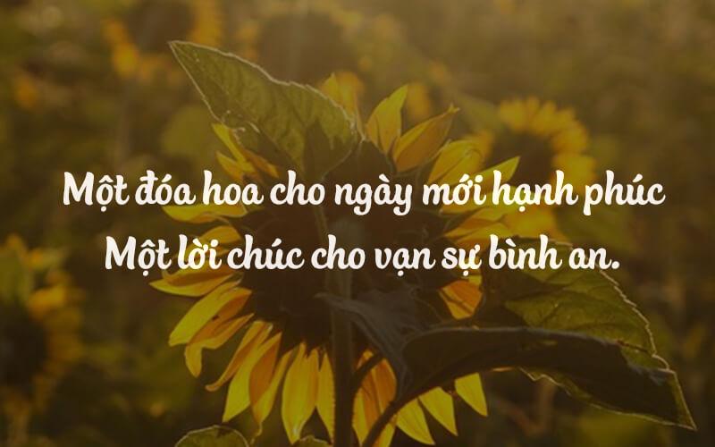 Gia đình là nơi bình an để quay về