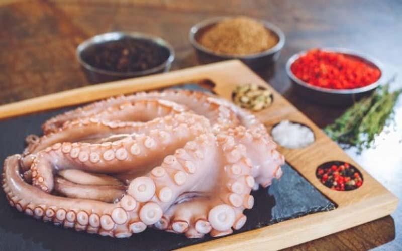 Gỏi bạch tuộc