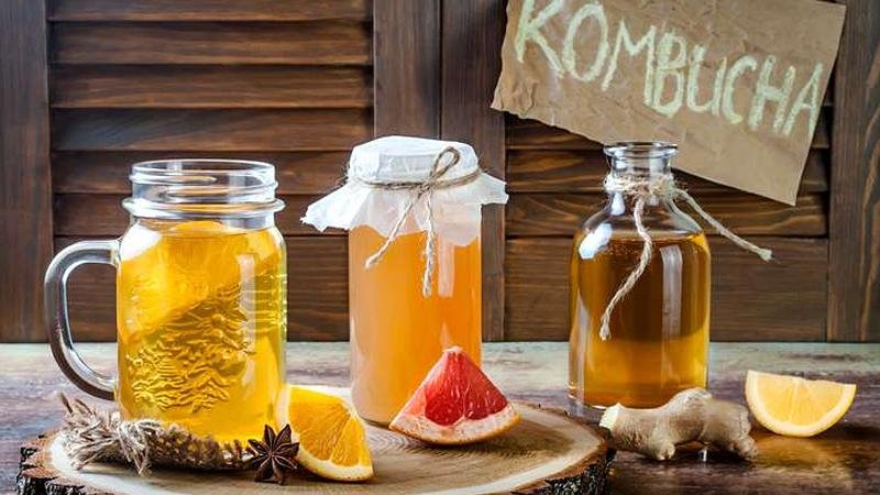 Kombucha là nguồn cung cấp probiotic