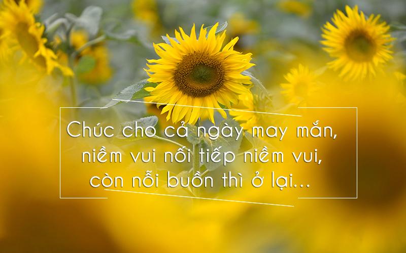 Lời chúc may mắn trong cuộc sống