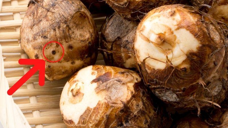 Mặt cắt ngang bên trong khoai môn