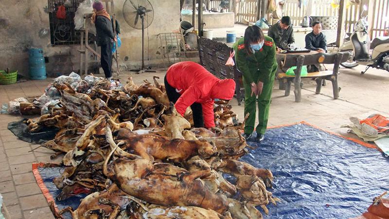 Nguy cơ tiềm ẩn từ thịt chó