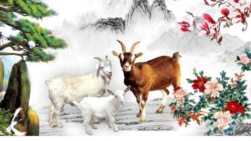 Tuổi hợp với Quý Mùi